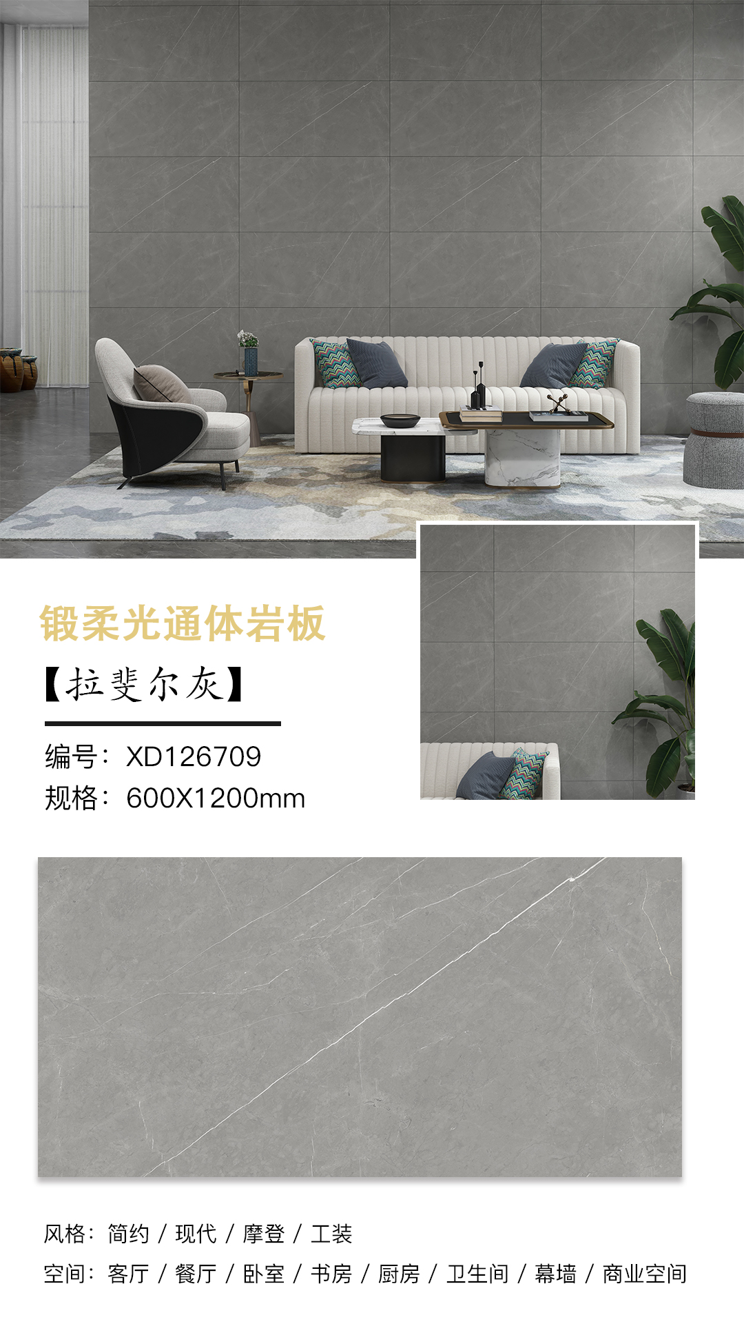 XD126709-拉斐尔灰.jpg